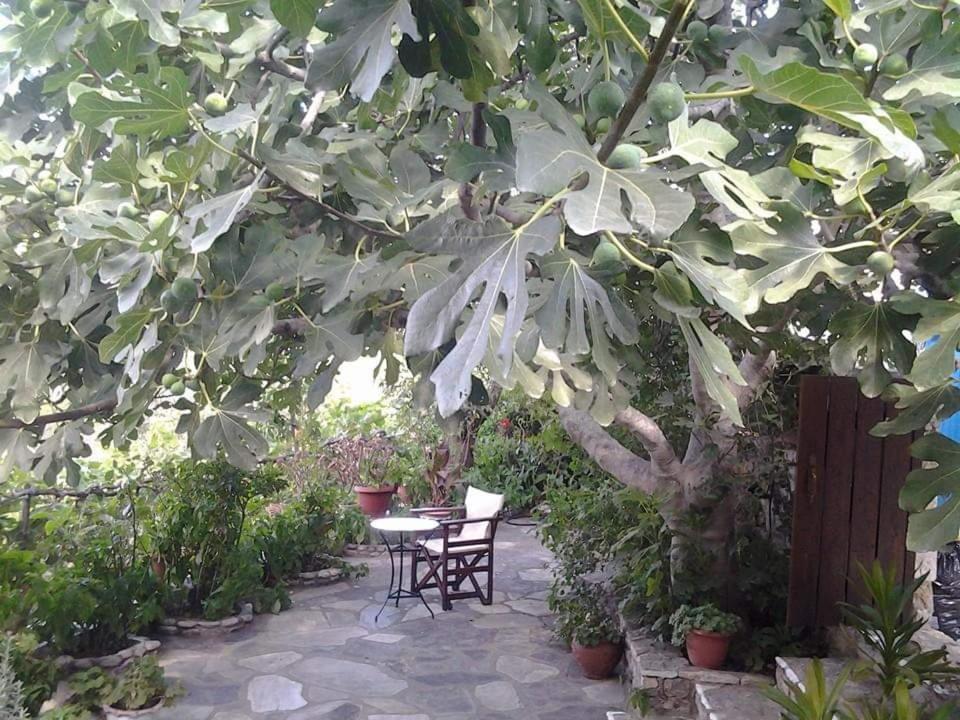 Villa Panayiota Alónnisos Exterior foto